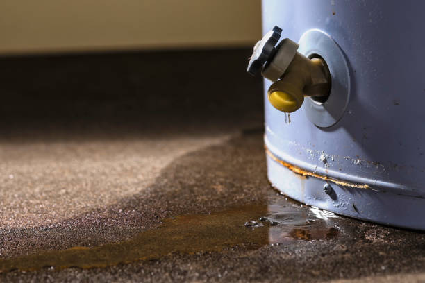 Best Mold removal after water damage  in Spring Hill, TN