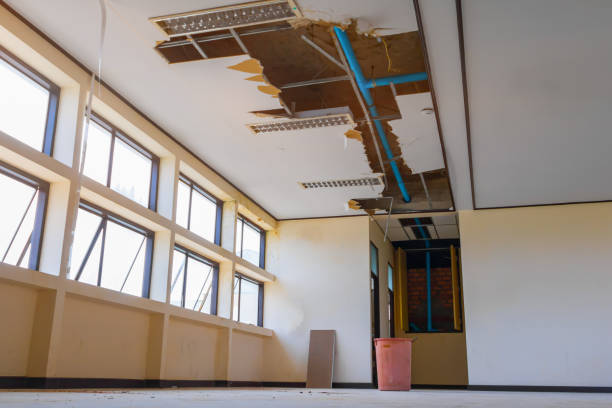 Best Residential water damage restoration  in Spring Hill, TN