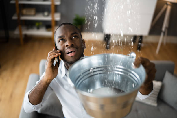 Best Flood damage cleanup  in Spring Hill, TN