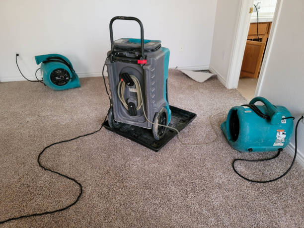 Best Mold removal after water damage  in Spring Hill, TN