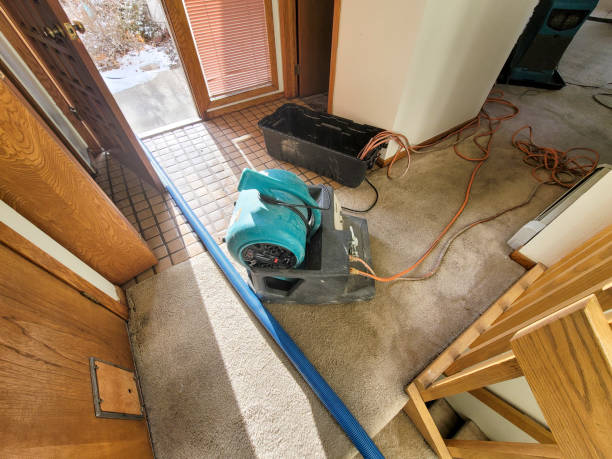 Trusted Spring Hill, TN Water damage restoration Experts