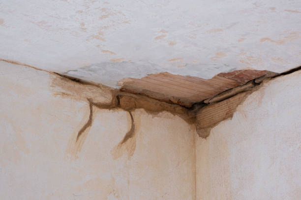 Carpet water damage restoration in Spring Hill, TN