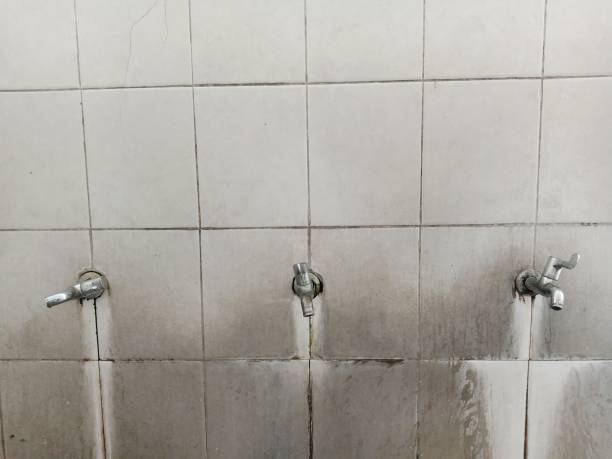 Best Sewage cleanup and water damage restoration  in Spring Hill, TN