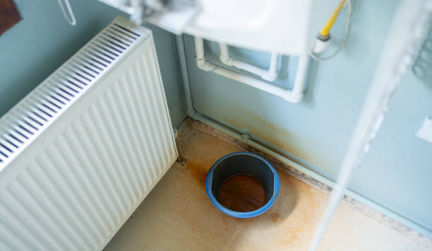 Best Water damage restoration cost  in Spring Hill, TN