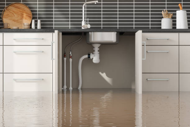 Best Water damage restoration near me  in Spring Hill, TN