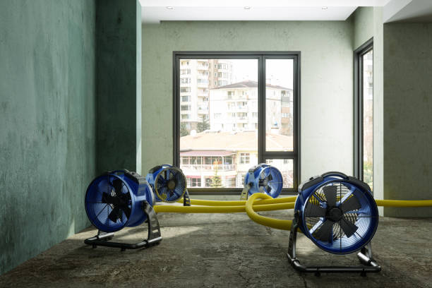 Best Professional water damage repair  in Spring Hill, TN